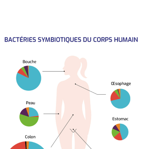 micronutrition microbiote nutritionniste angoulême soyaux charente